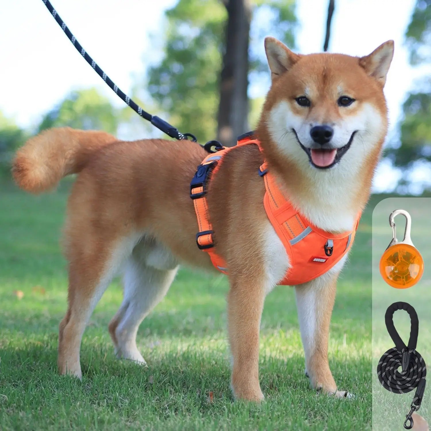 hondenharnas oranje design met led lichtje en riem